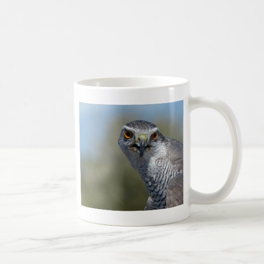 Nordgohawk Nah Kaffeetasse (Rechts)