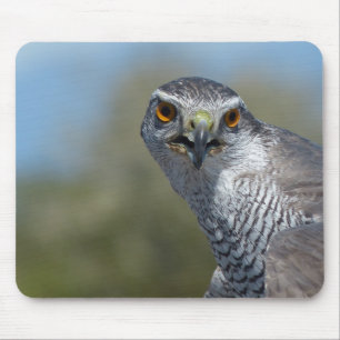 Nordgohawk Nah Mousepad