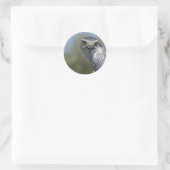 Nordgohawk Nah Runder Aufkleber (Tasche)