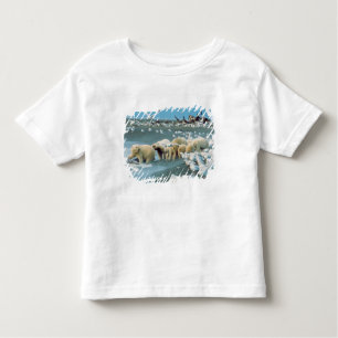 Nordhang, Alaska. Polar Bears Ursus Kleinkind T-shirt