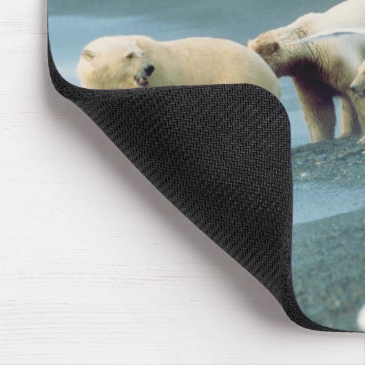 Nordhang, Alaska. Polar Bears Ursus Mousepad (Ecke)