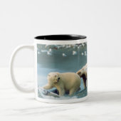 Nordhang, Alaska. Polar Bears Ursus Zweifarbige Tasse (Links)