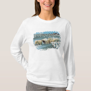 Nordhanglage, Alaska. Eisbären Ursus T-Shirt