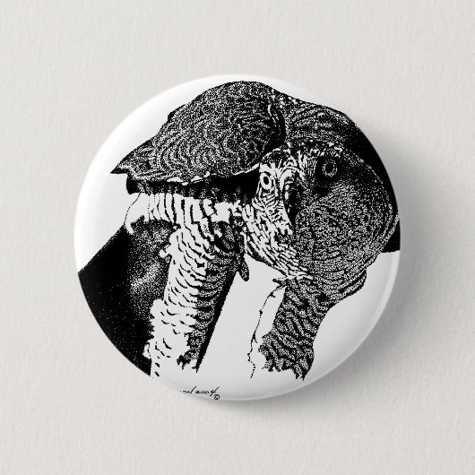 Nordhühnerhabicht Button (Vorderseite)