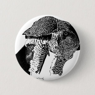 Nordhühnerhabicht Button