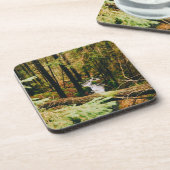 Nordic Woods Getränkeuntersetzer (Linke Seite)