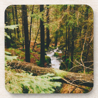 Nordic Woods Getränkeuntersetzer