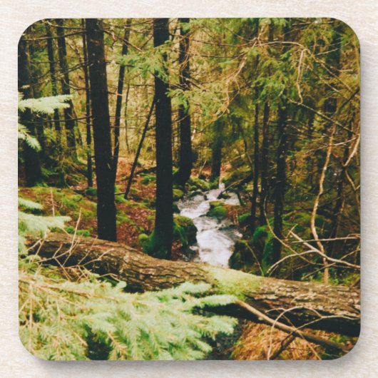 Nordic Woods Getränkeuntersetzer (Vorderseite)