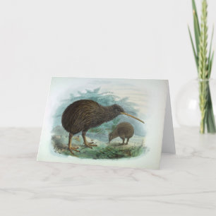 Nordinsel-Braunkiwi-Vintage-Vogelillustration Karte