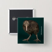 Nordinsel-Brown-Kiwi Button (Vorne & Hinten)