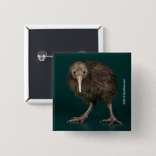 Nordinsel-Brown-Kiwi Button (Vorne & Hinten)