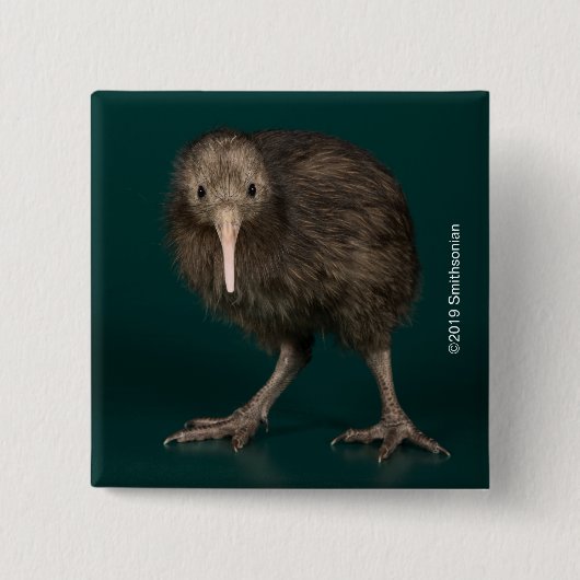 Nordinsel-Brown-Kiwi Button (Vorderseite)