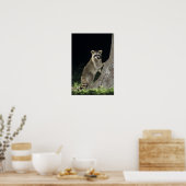 Nordirakoon, Procyon-Lotor, erwachsen am Baum Poster (Küche)