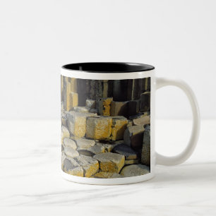 Nordirland, County Antrim, Giant's Zweifarbige Tasse