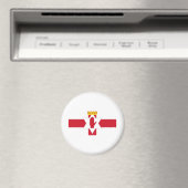 Nordirland Magnet (In Situ (Geschirrspüler))