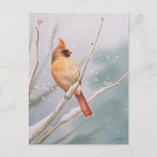 Nordische Kardinal Bird Wasserfarbe Kunst, Dichtun Postkarte