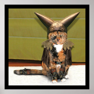 Nordische Katze ist nicht verwirrt Poster