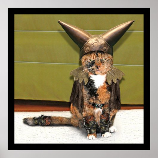 Nordische Katze ist nicht verwirrt Poster (Vorne)