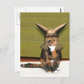 Nordische Katze ist nicht verwirrt Postkarte (Vorne/Hinten)