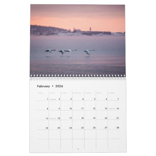 Nordische Landschaftsfotografie Kalender (Feb 2026)