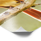 Nordische Weibliche Kardinal auf Baumlippe drucken Fotodruck (Ecke)