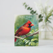 Nordischer Kardinal-Staat-Vogel der Postkarte von (Stehend Vorderseite)