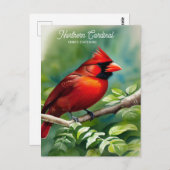 Nordischer Kardinal-Staat-Vogel der Postkarte von (Vorne/Hinten)