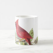 Nordischer Kardinal von Audubon Kaffee Tasse (Mittel)