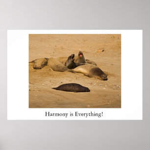 Nordkalifornien-Elefant-Siegel Poster