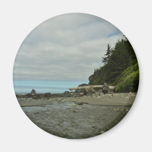 Nordkalifornien Küste von Redwood Park Magnet (Vorne)