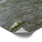 Nordkalifornien Küste von Redwood Park Poster (Ecke)