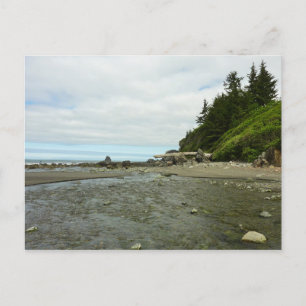Nordkalifornien Küste von Redwood Park Postkarte