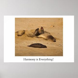 Nordkalifornische Elefanten-Siegel Poster