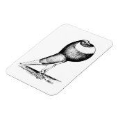 Nordkap 1980 magnet (Linke Seite)