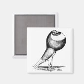 Nordkap 1980 magnet (Vorderseite/Rückseite)