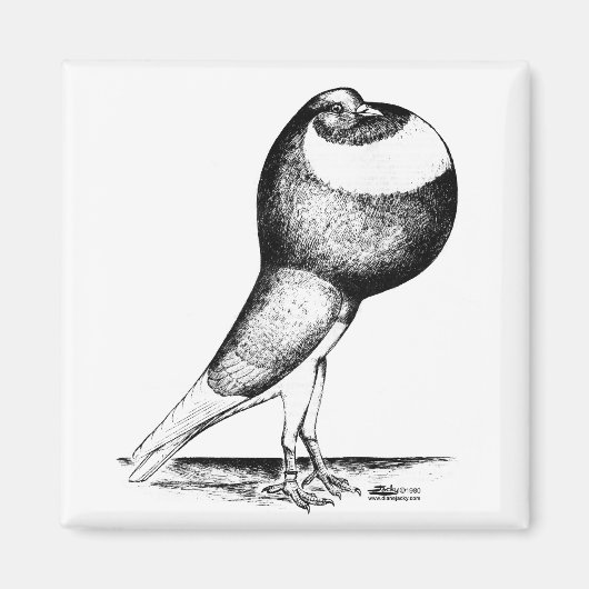 Nordkap 1980 magnet (Vorne)