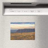 Nordkapp Magnet (In Situ (Geschirrspüler))