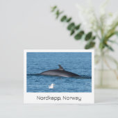 Nordkapp, Souvenirkarte Norwegen. Postkarte (Stehend Vorderseite)