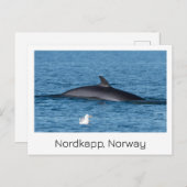 Nordkapp, Souvenirkarte Norwegen. Postkarte (Vorne/Hinten)