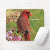 NordKardinal 2 Mousepad (Mit Mouse)