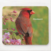 NordKardinal 2 Mousepad (Vorne)