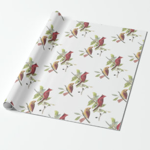 NordKardinal durch Audubon Geschenkpapier