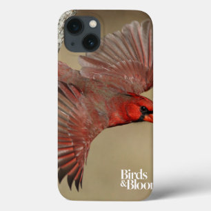 NordKardinal im Flug Case-Mate iPhone Hülle