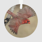 NordKardinal im Flug Ornament (Rückseite)