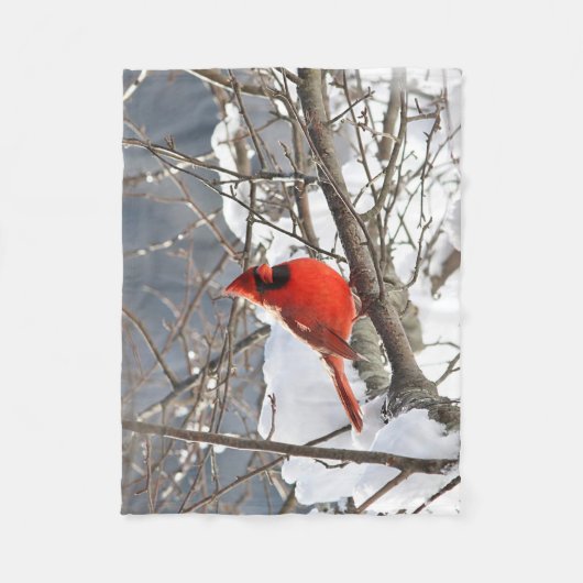 NordKardinal im Schnee Fleecedecke (Vorderseite)