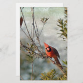 NordKardinal im Wachs Myrte Briefpapier (Vorne/Hinten)