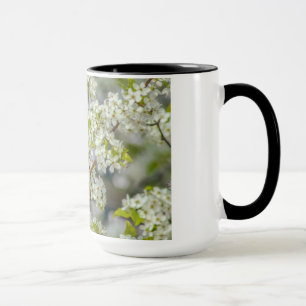 NordKardinal in der Frühlings-Blüte Tasse
