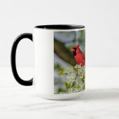 NordKardinal in der Frühlings-Blüte Tasse (Links)