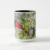NordKardinal in der Frühlings-Blüte Tasse (Zentrum)