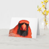 NordKardinal Karte (Gelbe Blume)